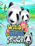 สมัครฟรี! เข้าสู่โลกคาสิโนบนมือถือที่สุดฮิต